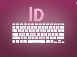 Adobe Certified Professional Certification