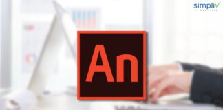 Adobe Animate Certification